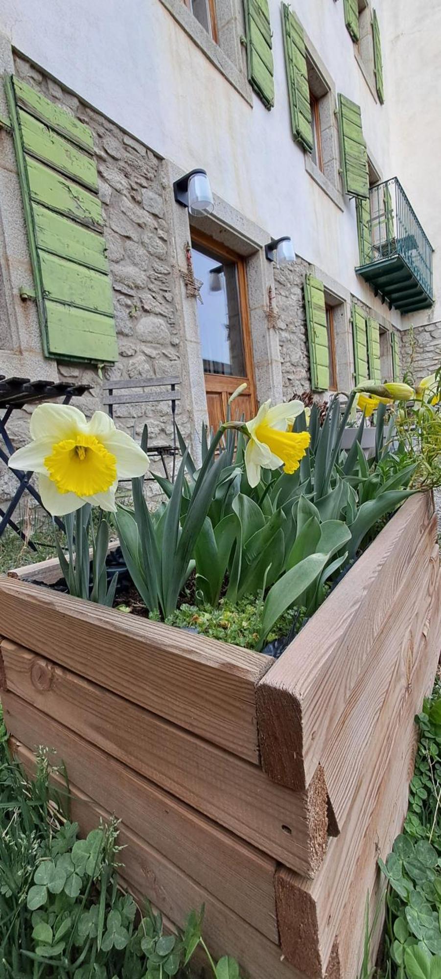 Le Grenier Des Moineaux Bed & Breakfast Font-Romeu-Odeillo-Via Exterior foto